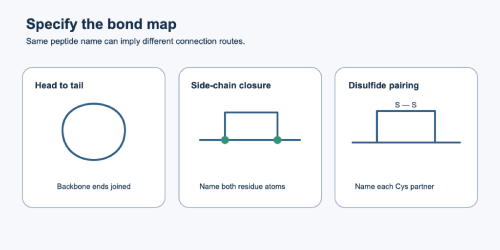 Three distinct peptide connection diagrams showing head-to-tail closure, side-chain closure and specified disulfide pairing.