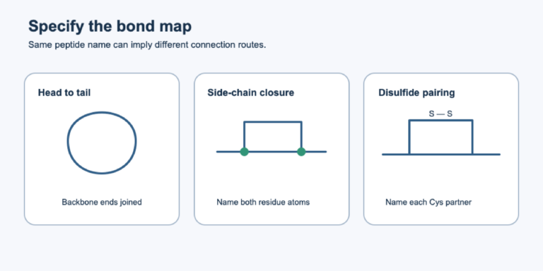 Three distinct peptide connection diagrams showing head-to-tail closure, side-chain closure and specified disulfide pairing.